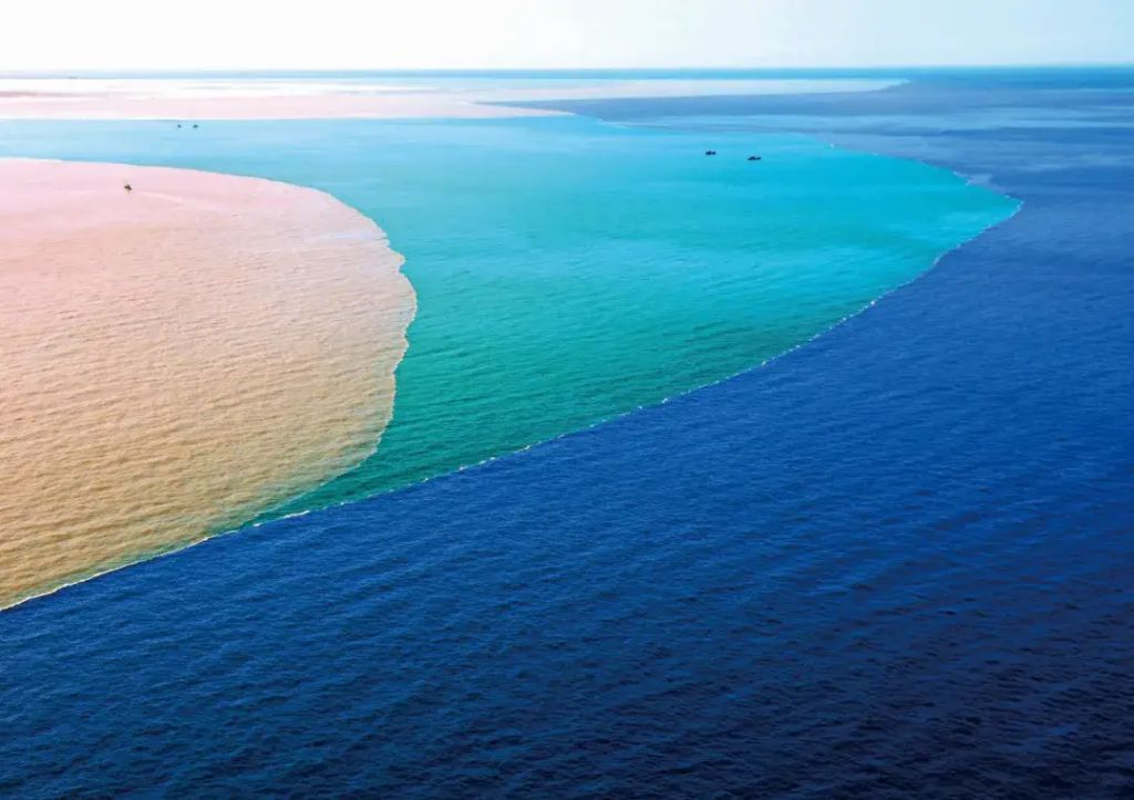 黄河入海大美湿地