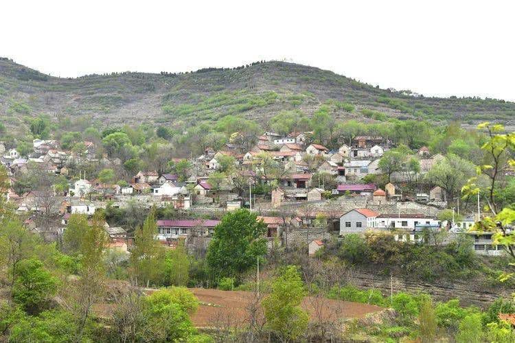 淄博市淄川区太河镇罗圈村