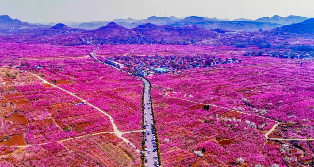 枣庄市山亭区冯卯镇冯卯村