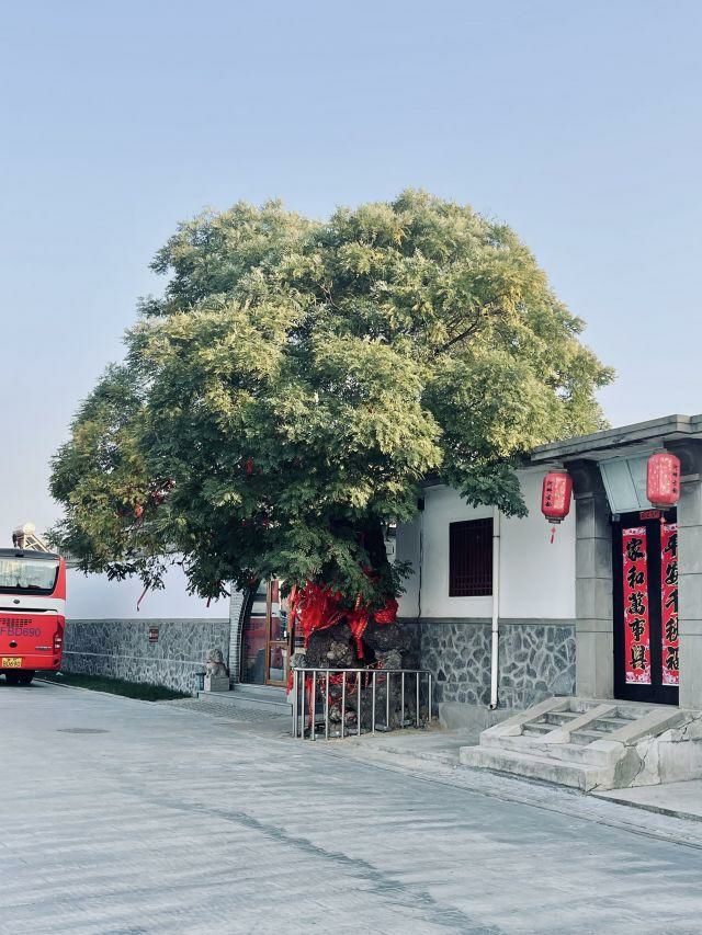 烟台市龙口市诸由观镇西河阳村