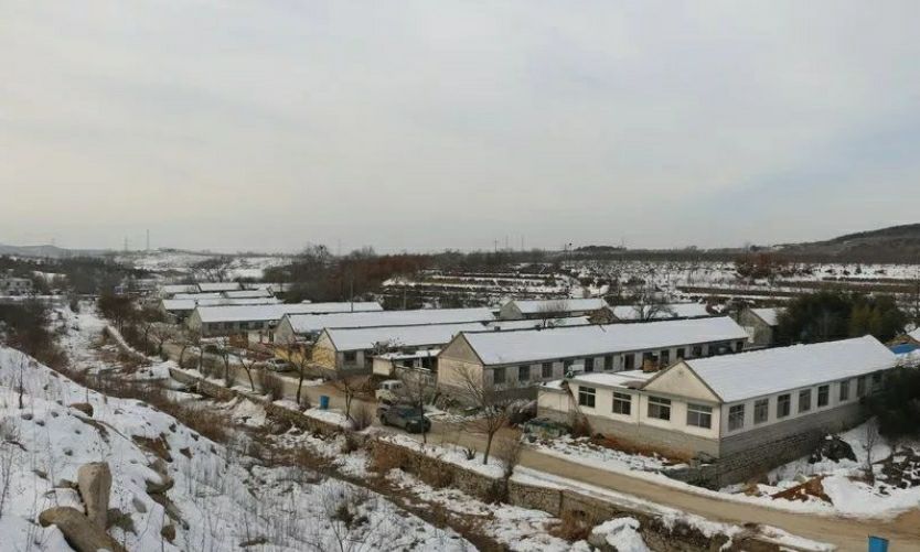 山东省烟台市牟平区莒格庄镇院下村