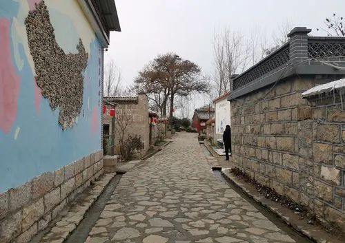 山东省济宁市金乡县羊山镇葛山村