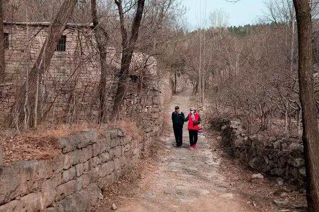 山东省济南市平阴县榆山街道东蛮子村