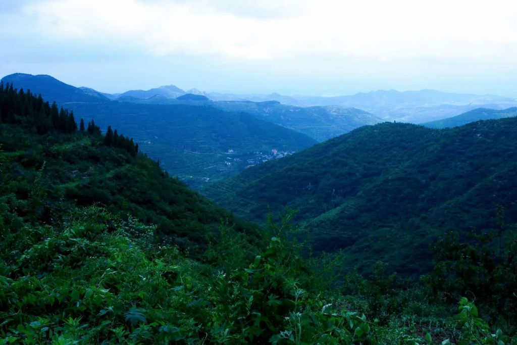 山东省济南市历城区区西营街道天晴峪村