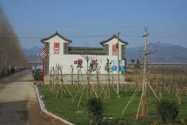 山东省烟台市福山区回里镇善疃村