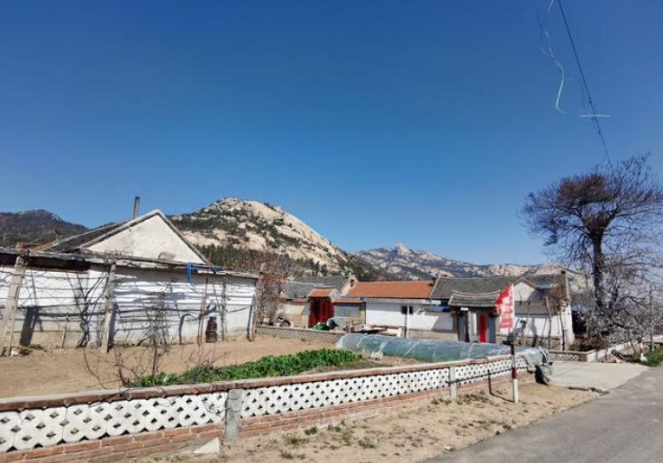 山东省烟台市牟平区龙泉镇狮子夼村