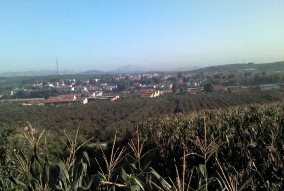 山东省烟台市栖霞市苏家店镇赵格庄村