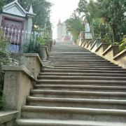 平阴海棠园景区