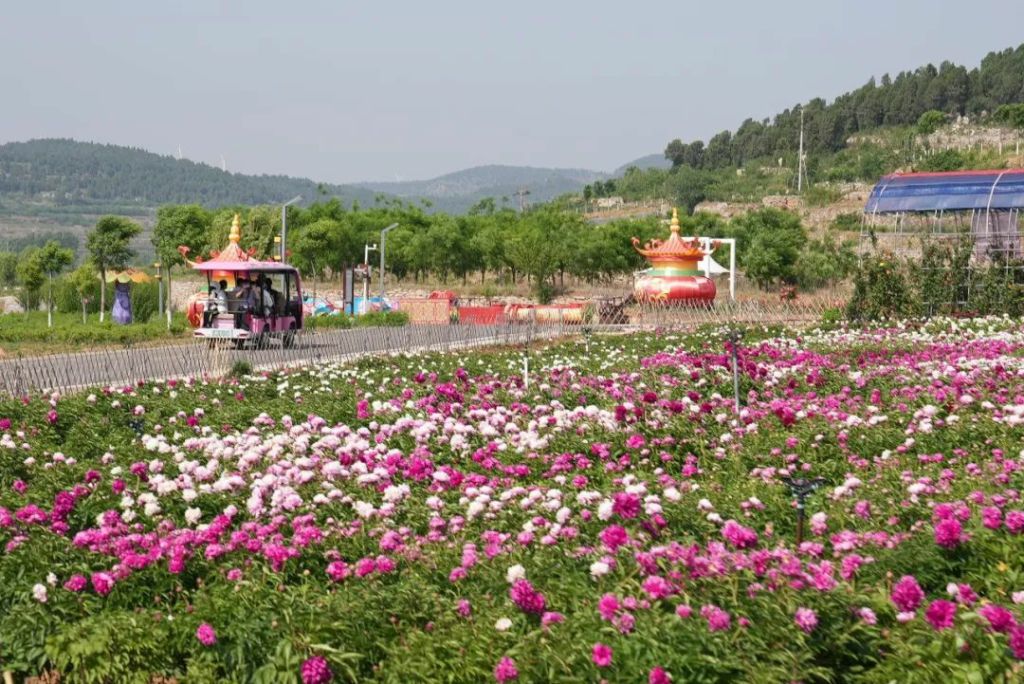 平阴县花开百世旅游风景区
