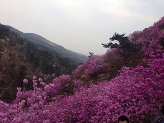 大珠山风景名胜区