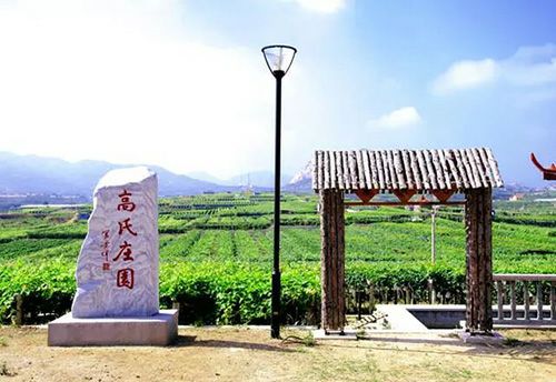 青岛高氏庄园