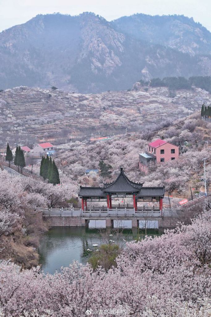 青岛崂山大崂樱桃谷