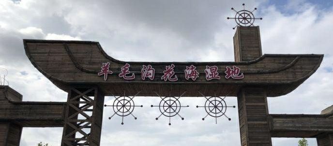 青岛羊毛沟花海湿地