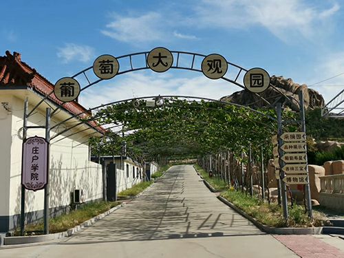青岛葡萄大观园