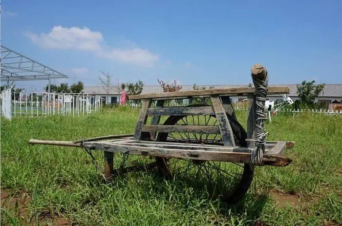 山后韭菜生态休闲农业园