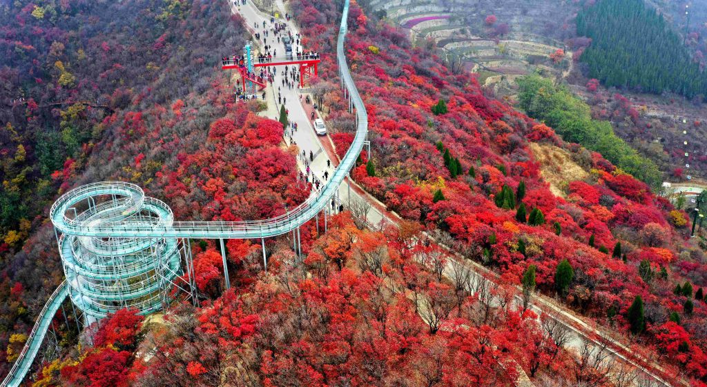 红叶柿岩旅游区
