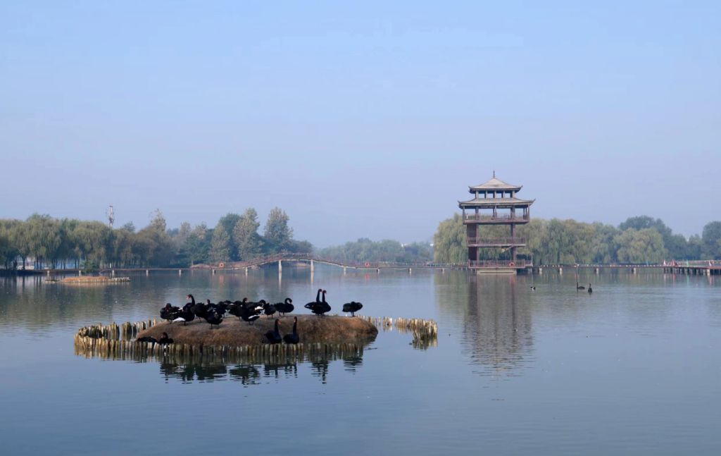 枣庄市台儿庄运河湿地景区