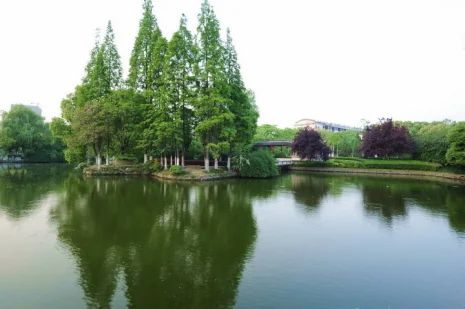 凤鸣湖公园