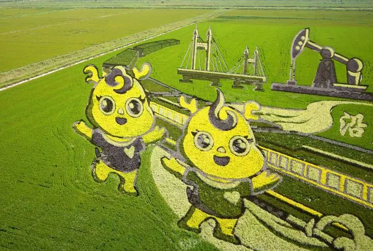 东营稻田画风景区