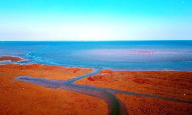 东营红滩湿地旅游区
