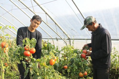 三合菌蔬基地旅游区