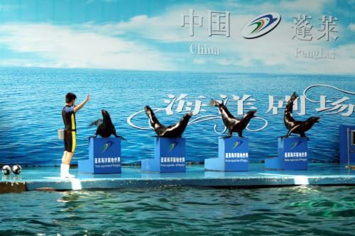 蓬莱海洋极地世界
