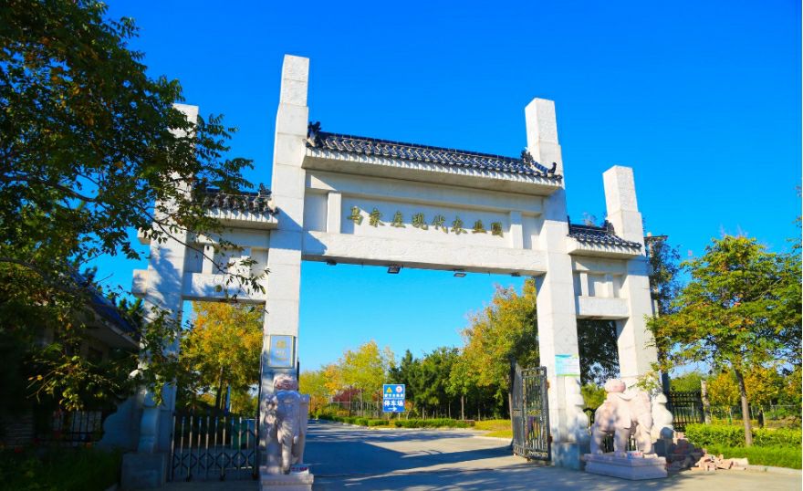 莱州马家庄现代农业园