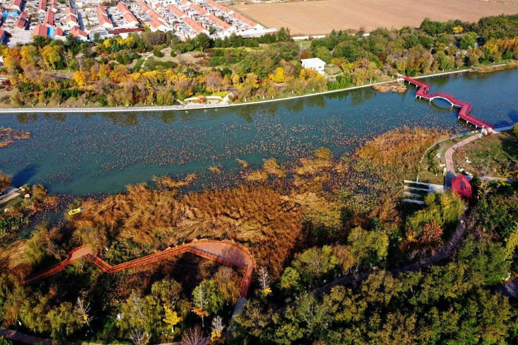 蓬莱平山河湿地公园水利风景区