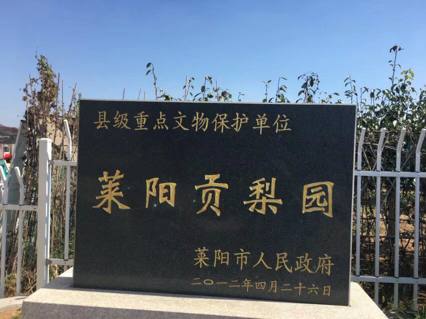 莱阳市梨乡风情旅游区