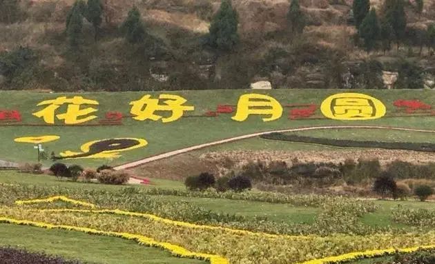 青州花好月圆景区