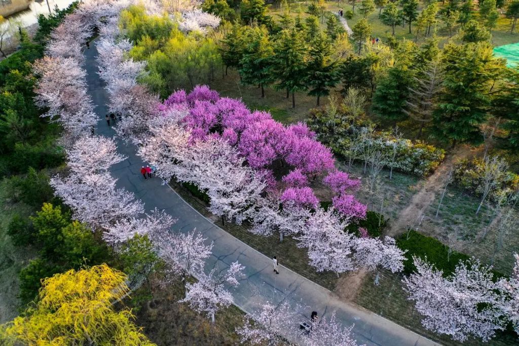 浞河景区