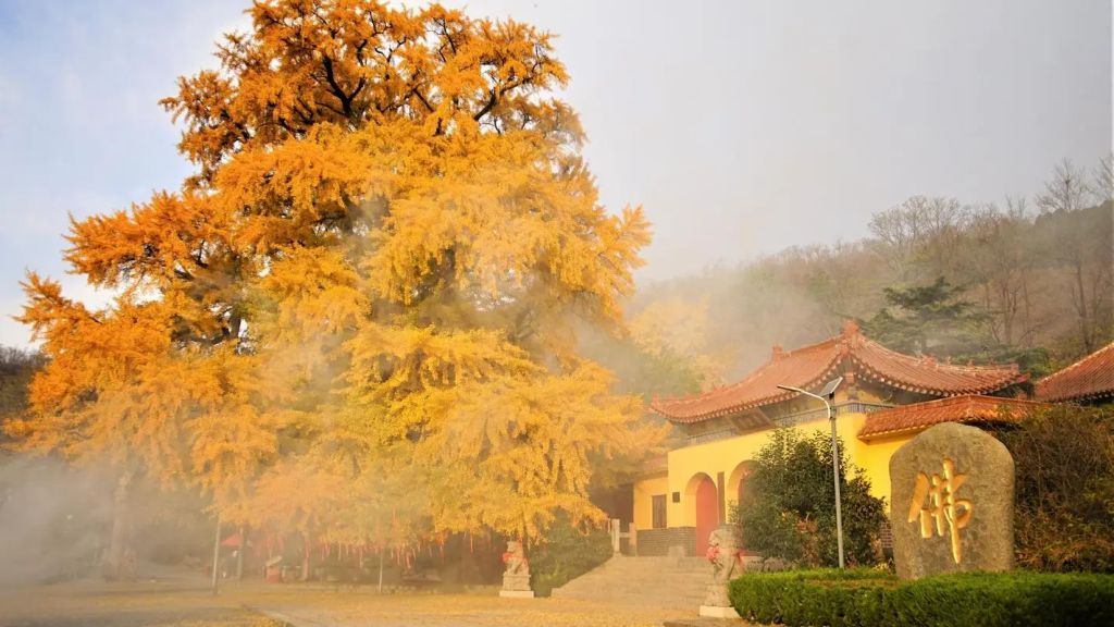 安丘城顶山生态旅游区