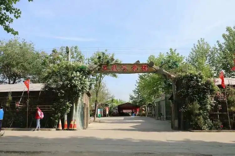 高密五龙河农场