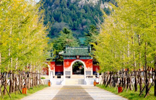 邹城市明鲁王陵景区