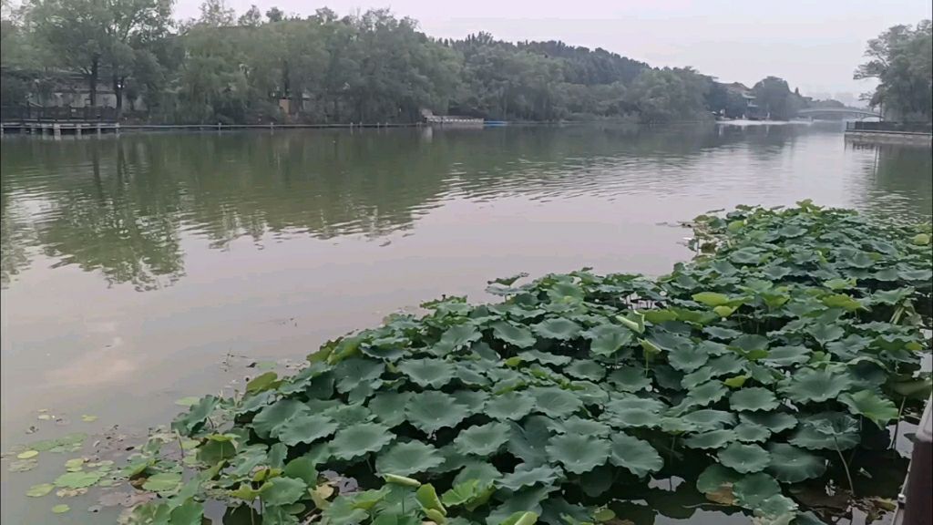 济宁蓼河公园