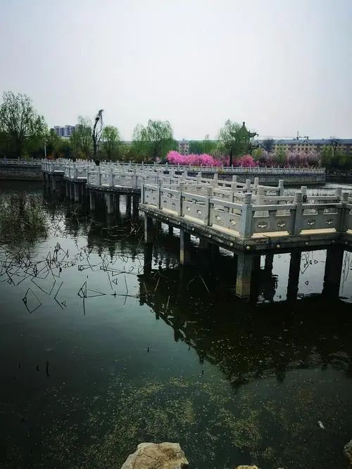 邹城市蓝陵桃花源
