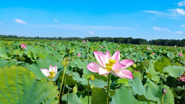印象永安旅游景区