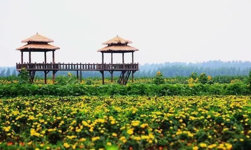 云泊湾湿地庄园景区
