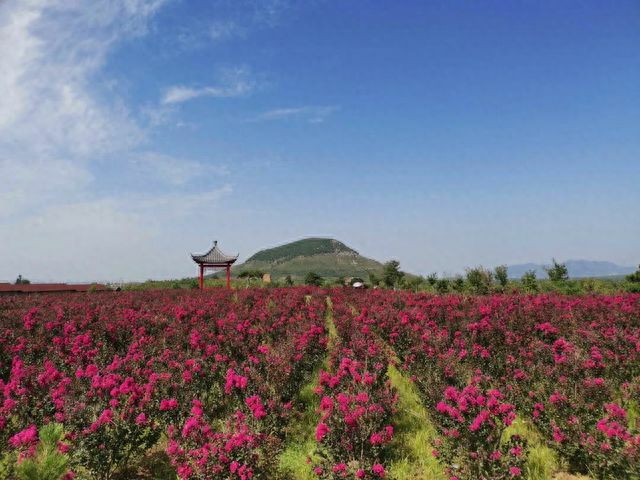泰西桃花源景区
