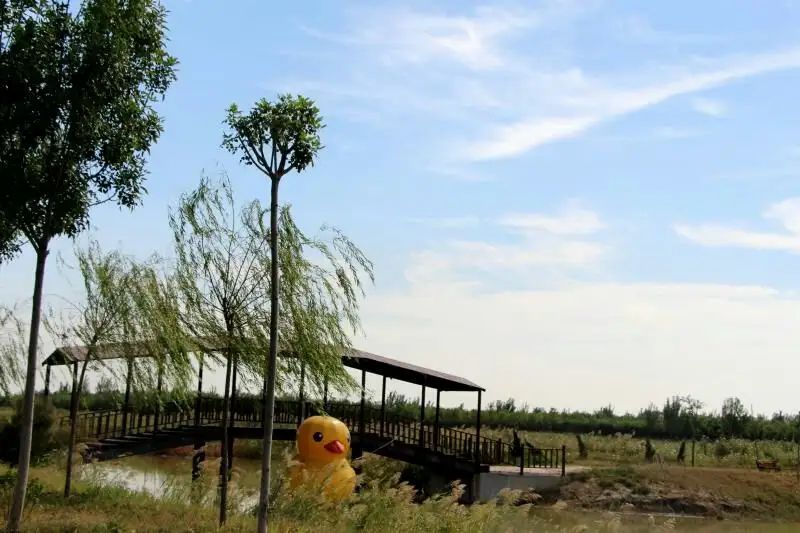 鑫嘉源景区