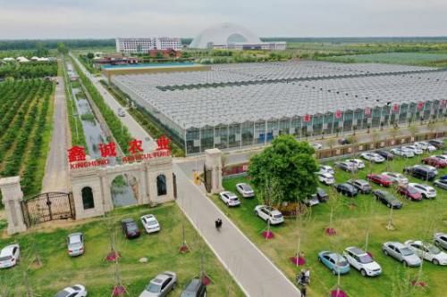 鑫诚现代农业示范园