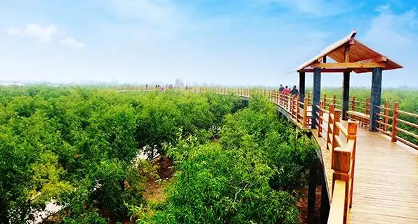 乐陵市古韵枣邑风景区