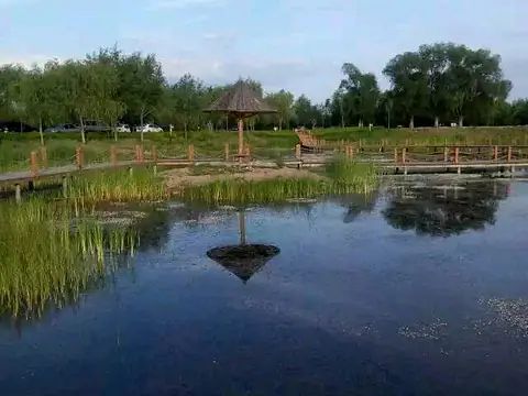 聊城南湖湿地公园