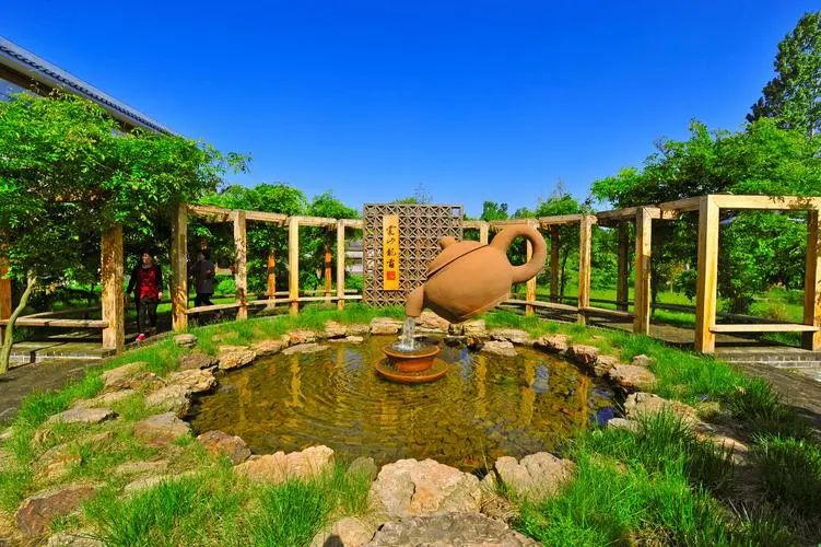 临沂市沂水蒙山龙雾茶博园