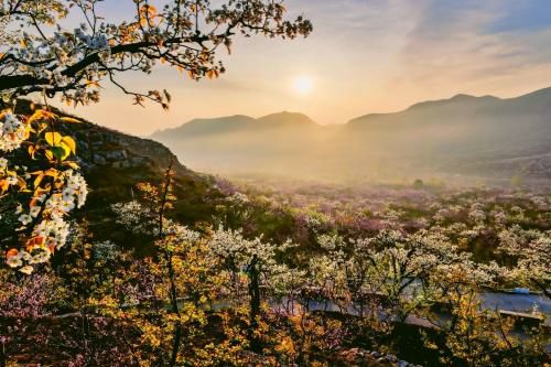 平邑县九间棚景区