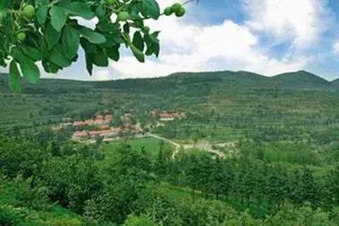 费县芍药山万亩核桃园旅游区