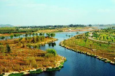 莒南县龙王河湿地公园