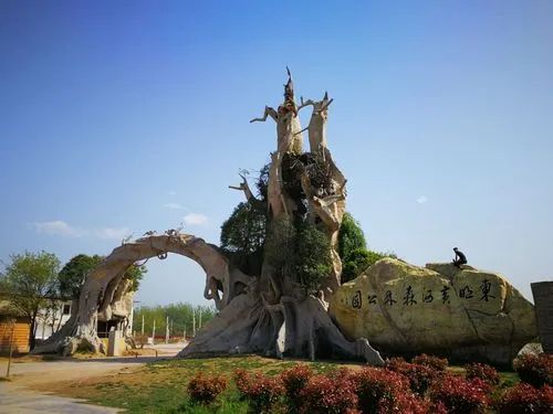 东明黄河森林公园