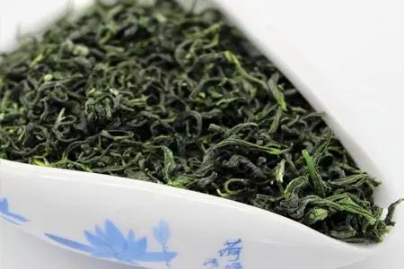 浮来青绿茶