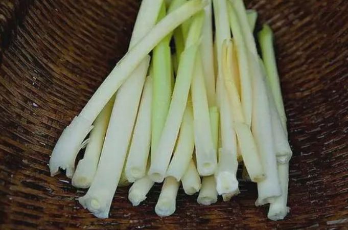 大明湖蒲菜